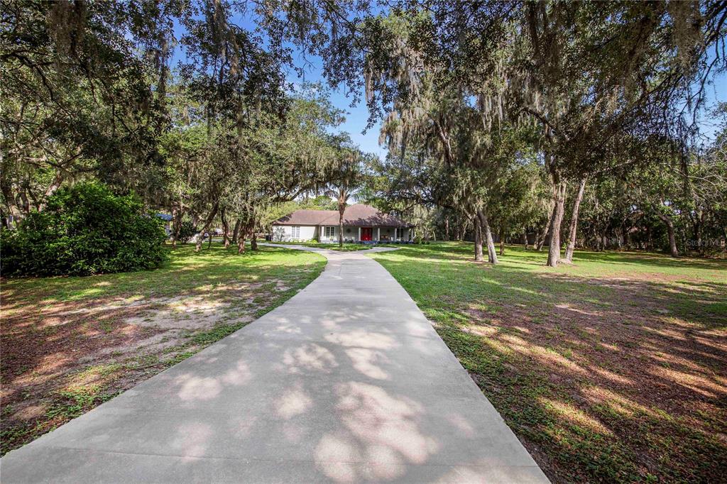 A concrete driveway leads to a single-story house surrounded by large, moss-draped oak trees — 10740 JIM EDWARDS ROAD, HAINES CITY, FL