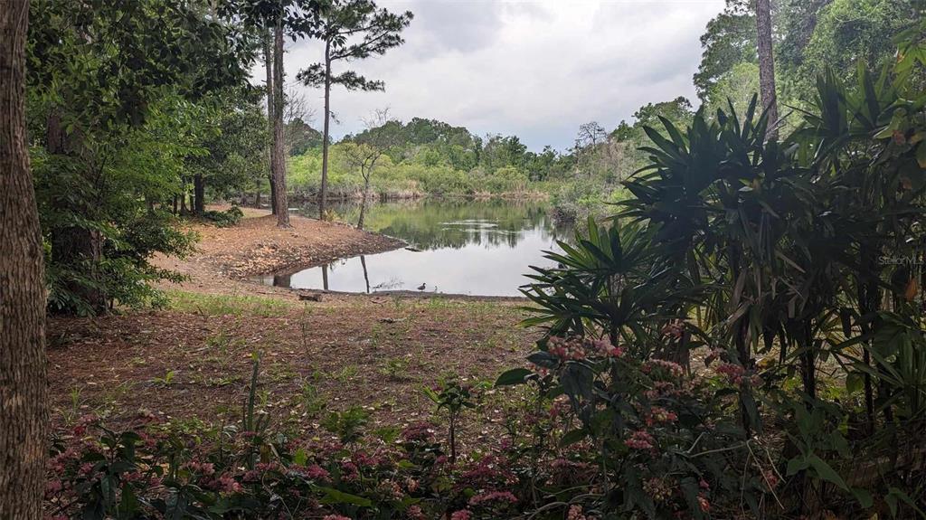 268 ALMYRA DRIVE, LAKE MARY, FL — photo 5 of 7