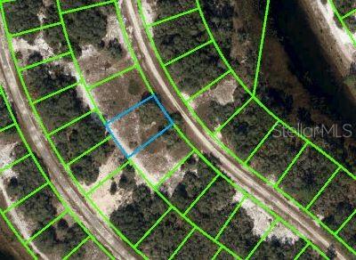 An aerial map view shows a rectangular plot of land highlighted in blue — 300 DARGEN DRIVE, LAKE PLACID, FL