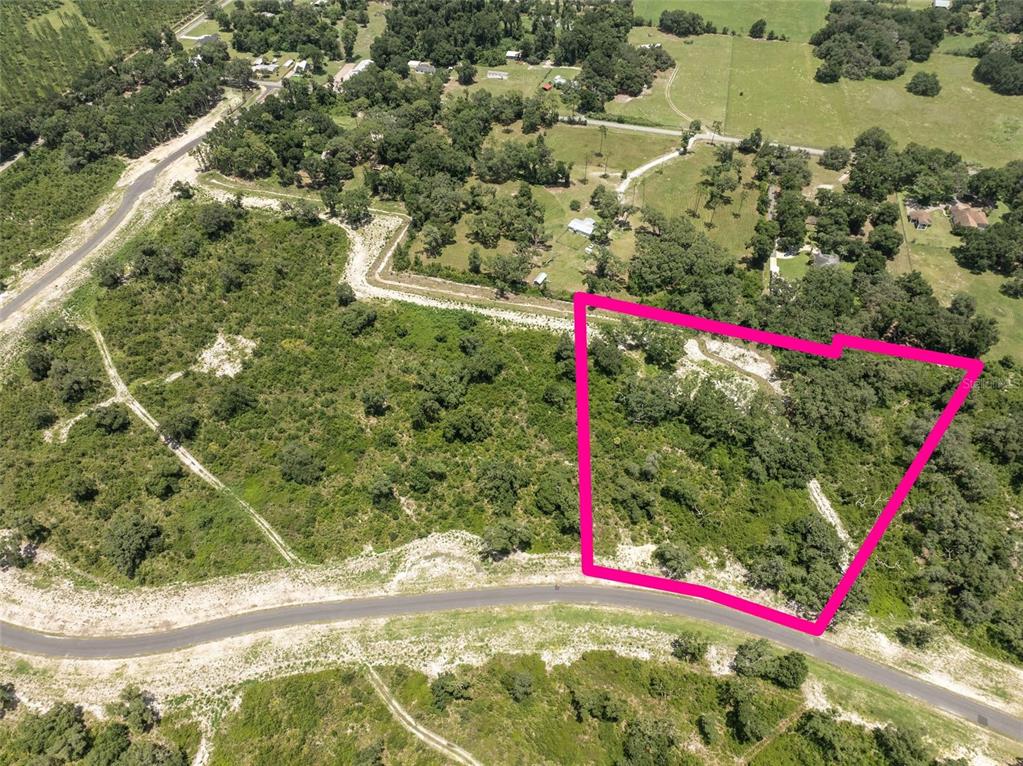 An aerial view shows a vacant, wooded lot outlined in pink along a paved road — 1417 OXFORD PRESERVE TRL, OXFORD, FL