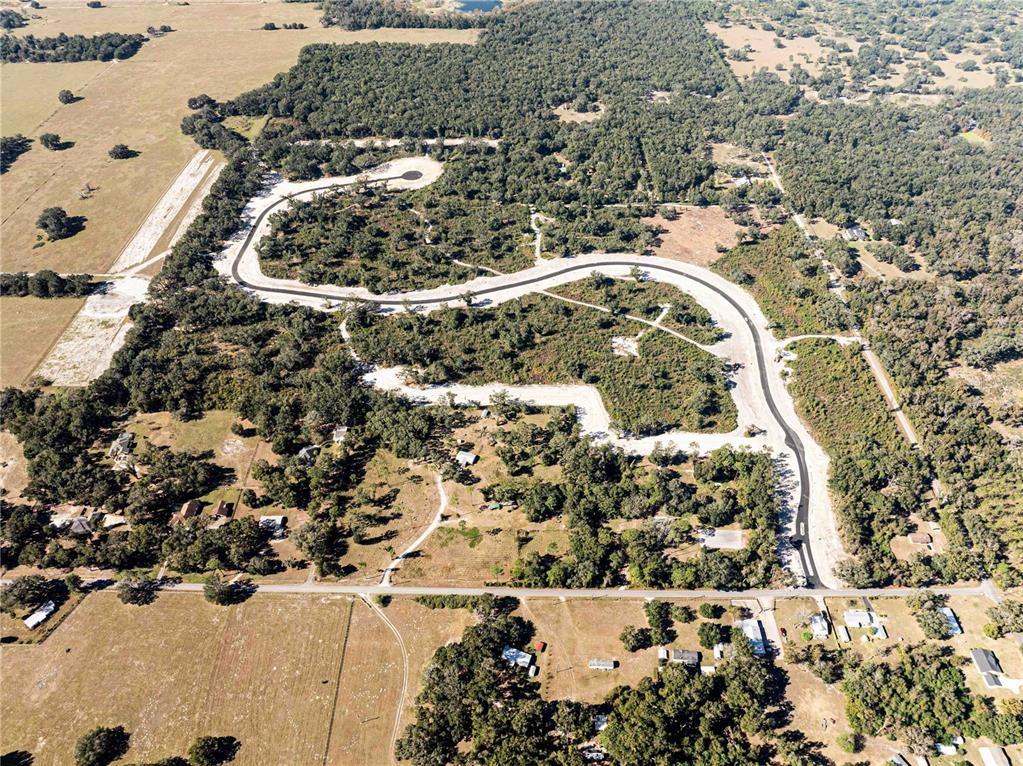 An aerial view shows a newly paved road winding through a wooded residential development — 1417 OXFORD PRESERVE TRL, OXFORD, FL