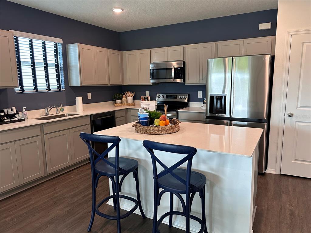 A kitchen features gray cabinets, stainless steel appliances, a white island, and dark blue walls — 13217 SASSAFRAS TRAIL, PARRISH, FL