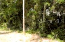 A utility pole stands in front of a dense, wooded area on a vacant lot — 12325 & 12303 STAGG ROAD, WINTER GARDEN, FL