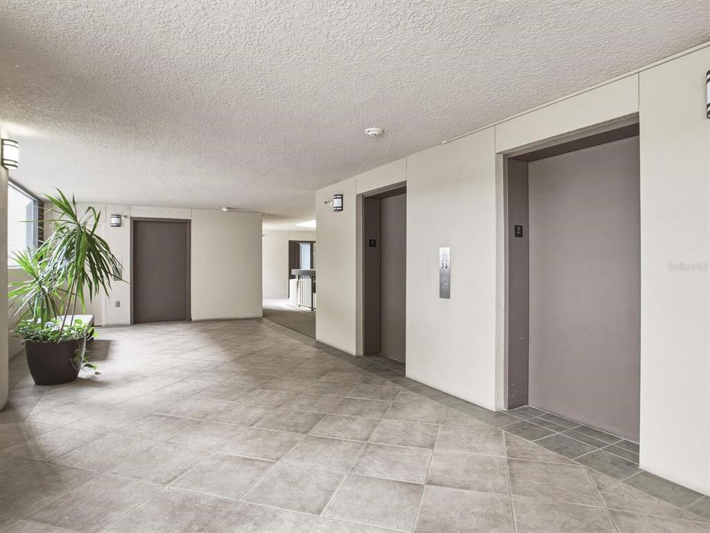 A tiled hallway features two elevator doors, a potted plant, and a white ceiling — 2413 BAYSHORE BOULEVARD UNIT 201, TAMPA, FL