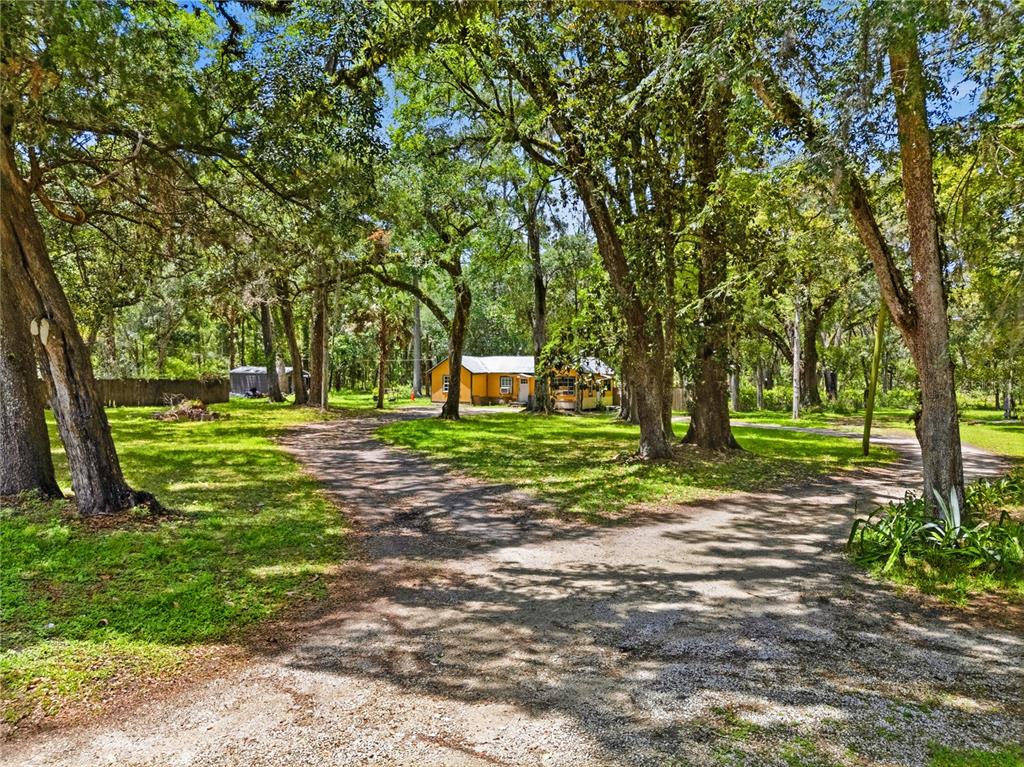 A yellow house sits at the end of a dirt driveway surrounded by many trees — 19199 FORT DADE AVENUE, BROOKSVILLE, FL