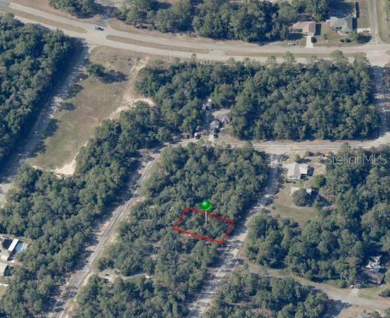 An aerial view shows a rectangular plot of land marked with a red outline — 9541 N WALLACE WAY, CITRUS SPRINGS, FL