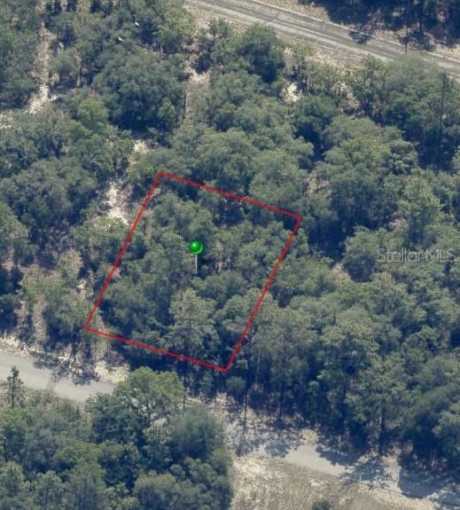An aerial view shows a wooded, rectangular plot of land outlined in red — 9541 N WALLACE WAY, CITRUS SPRINGS, FL