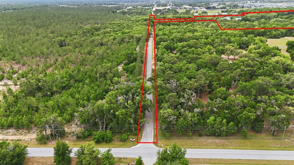 An aerial view shows a paved road leading into a wooded lot outlined in red — 2020 HAAS ROAD, APOPKA, FL