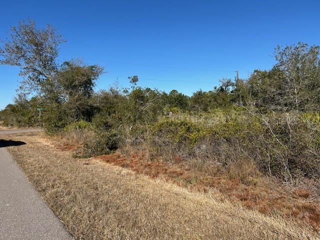 A vacant, overgrown lot sits beside a paved road under a clear blue sky — 29430 IXORA ROAD, PUNTA GORDA, FL