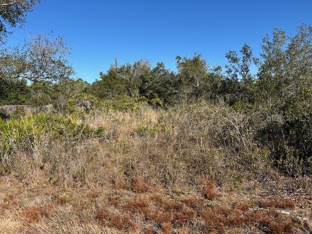 A vacant, overgrown lot features dry grass, shrubs, and scattered trees under a clear sky — 29430 IXORA ROAD, PUNTA GORDA, FL