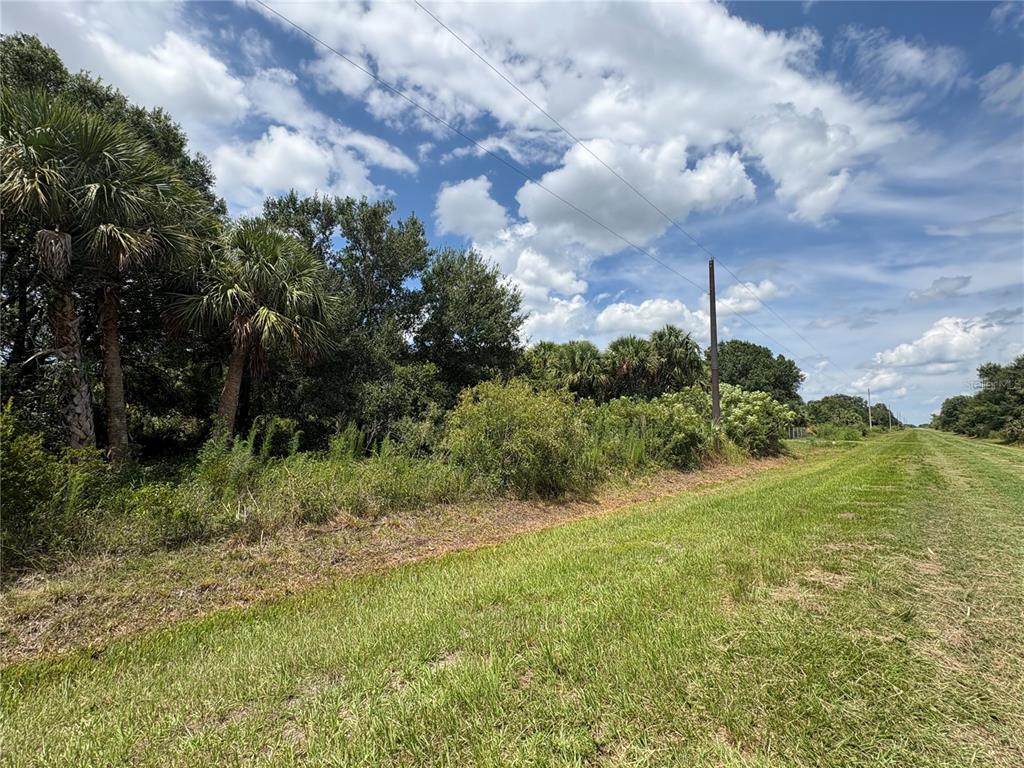 A grassy field borders a line of trees and palm trees under a cloudy sky — 19575 NW 266TH STREET, OKEECHOBEE, FL