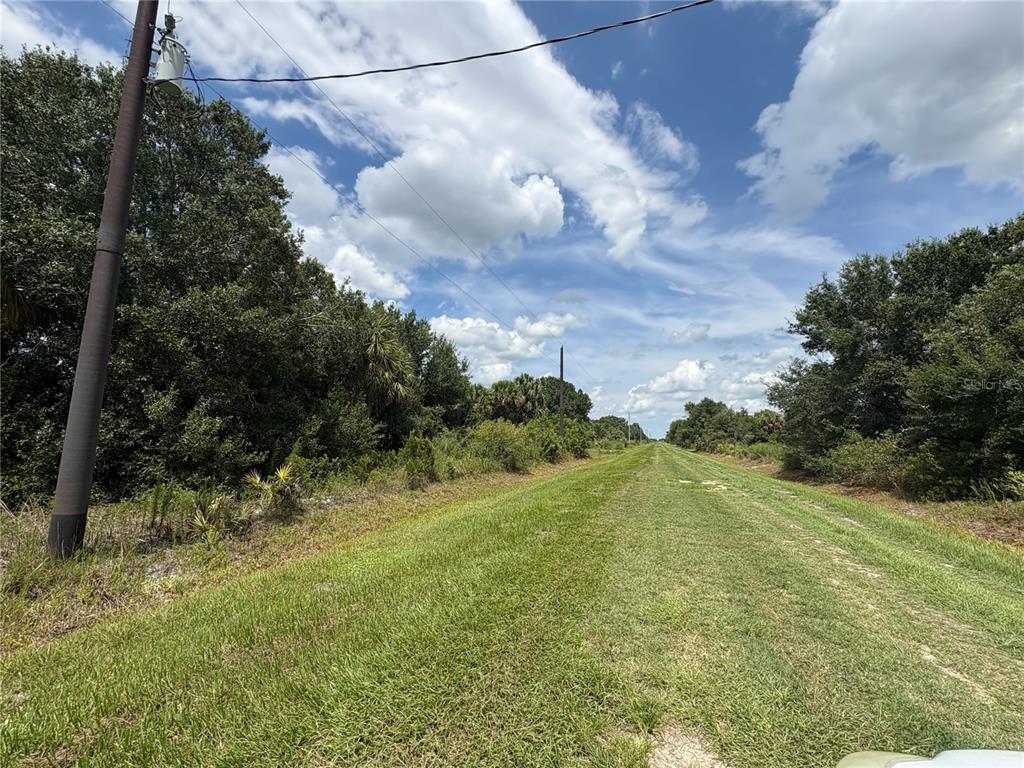 A grassy path runs between dense trees under a blue sky with power lines overhead — 19575 NW 266TH STREET, OKEECHOBEE, FL