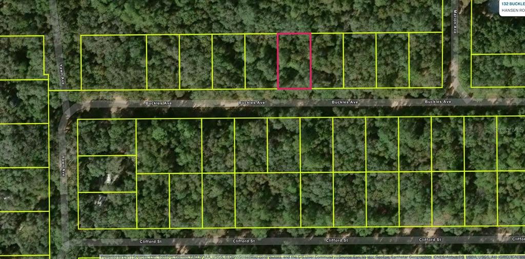 This is a satellite map view showing a highlighted rectangular lot along a wooded street — Lot 8, Unit 7, Blk 42 BUCKLES AVENUE, INTERLACHEN, FL