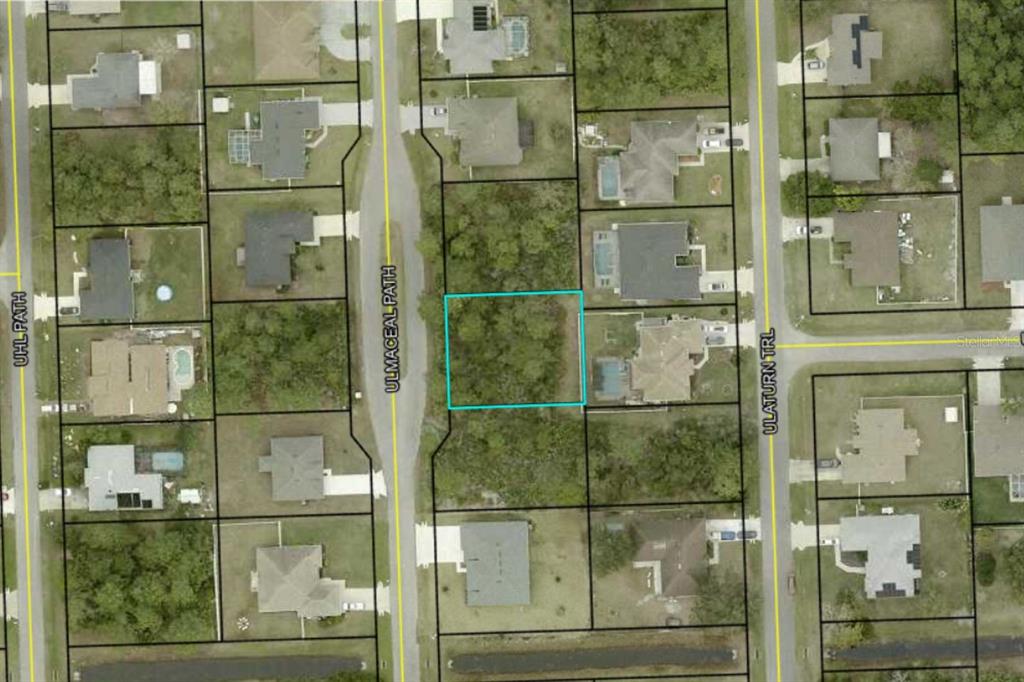 This is an aerial map showing a vacant residential lot outlined in blue — 29 ULMACEAL PATH, PALM COAST, FL