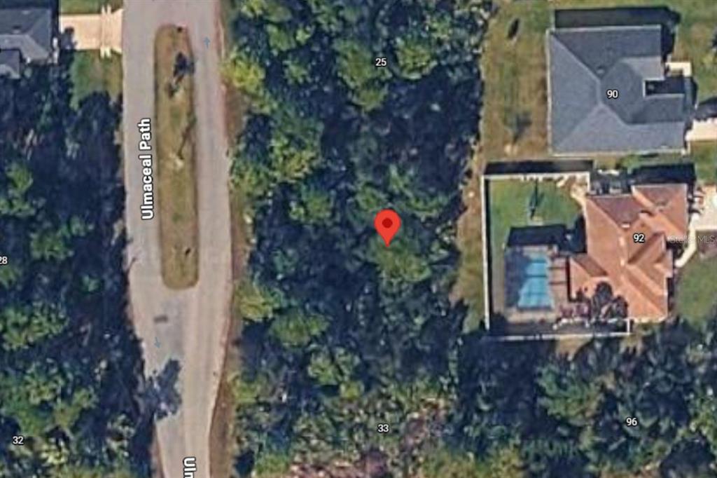 This is a satellite map view showing a wooded lot located on a residential street — 29 ULMACEAL PATH, PALM COAST, FL