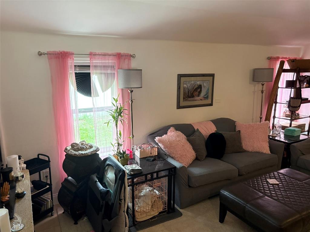 A living room features a gray sofa with pink pillows, a dog crate, and pink curtains — 2415 MAYER STREET, ORLANDO, FL