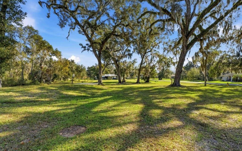 A grassy lot features several large, moss-draped oak trees under a bright blue sky — 23327 EPPLEY DRIVE, BROOKSVILLE, FL