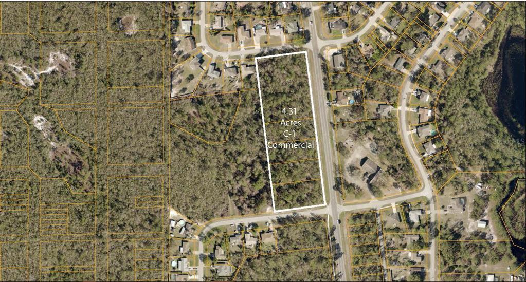 An aerial map shows a rectangular 4.31-acre commercial lot outlined in white — 3124 LAKE HELEN OSTEEN ROAD, DELTONA, FL