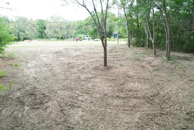 A cleared, grassy lot features several trees and a distant view of a road — TBD SW BEACH BOULEVARD, DUNNELLON, FL