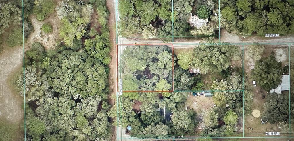 This aerial map shows a wooded, rectangular plot of land bordered by dirt roads — TBD NE 135 AVENUE, FORT MC COY, FL