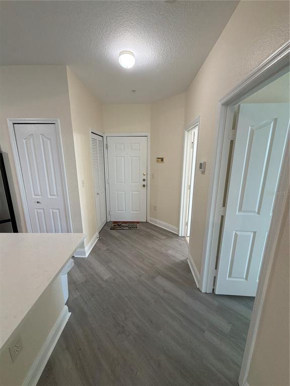 An entryway features light-colored walls, gray wood-look flooring, a white front door, and multiple closets — 8815 DUNES COURT UNIT 308, KISSIMMEE, FL
