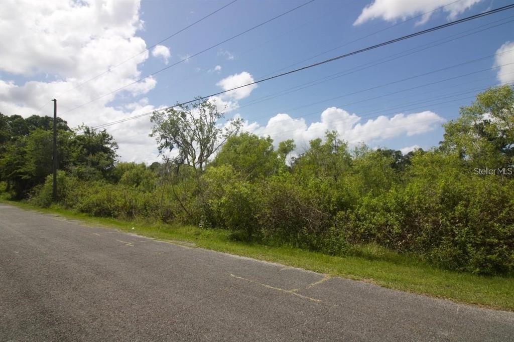 274 TOMS ROAD