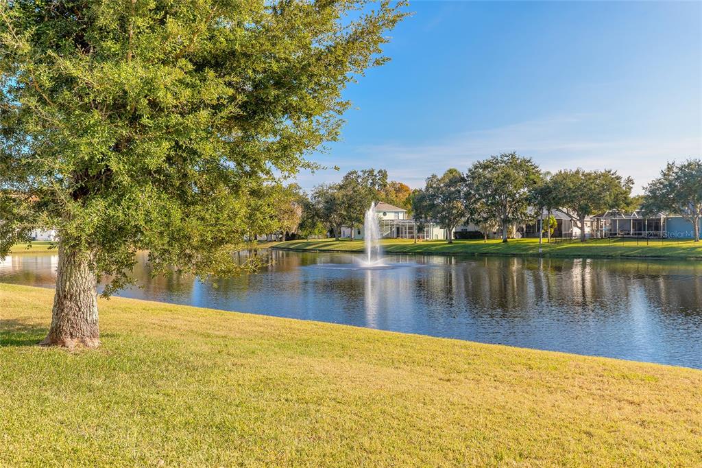 A grassy lawn overlooks a pond with a fountain and houses in the background — 1424 NEW BOLTON DRIVE, PORT ORANGE, FL