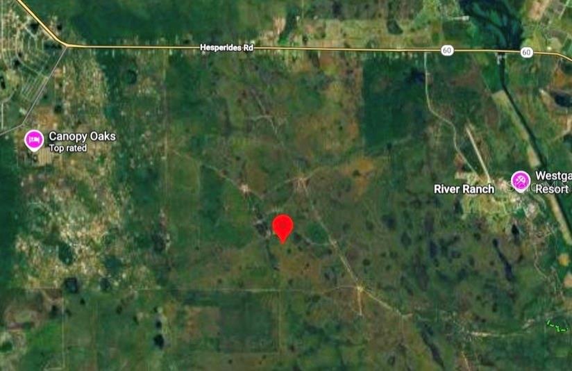 This is a satellite map showing a red location pin in a rural, wooded area — RIVER RANCH BLVD, FROSTPROOF, FL