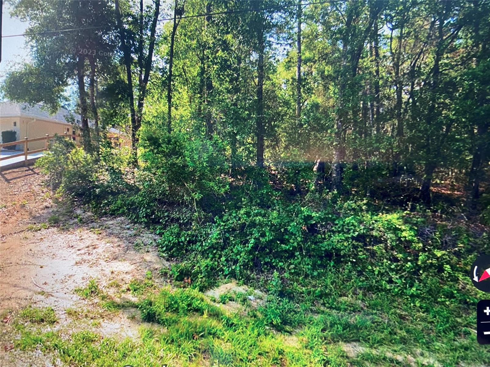 A wooded, undeveloped residential lot with a dirt path and a neighboring house in view — 684 W Pitler Place, FL 34434, FL