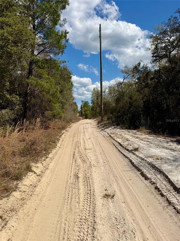 A dirt road stretches through a wooded area with a utility pole on the right — 15575 NE 234TH PLACE, FORT MC COY, FL
