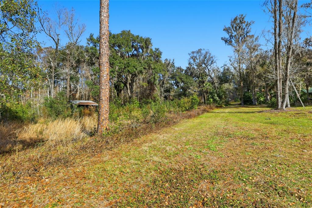 A grassy clearing leads toward a wooded area with a small shed on the left — HIGGINSON ROAD, ZEPHYRHILLS, FL