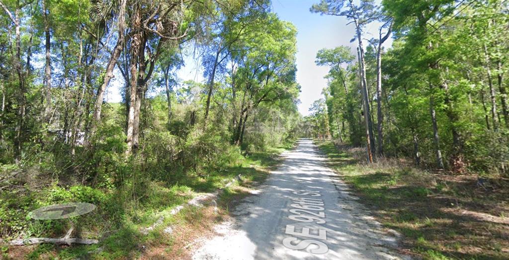 A dirt road winds through a dense, wooded area with tall trees on both sides — TBD SE 926TH ST STREET, OLD TOWN, FL