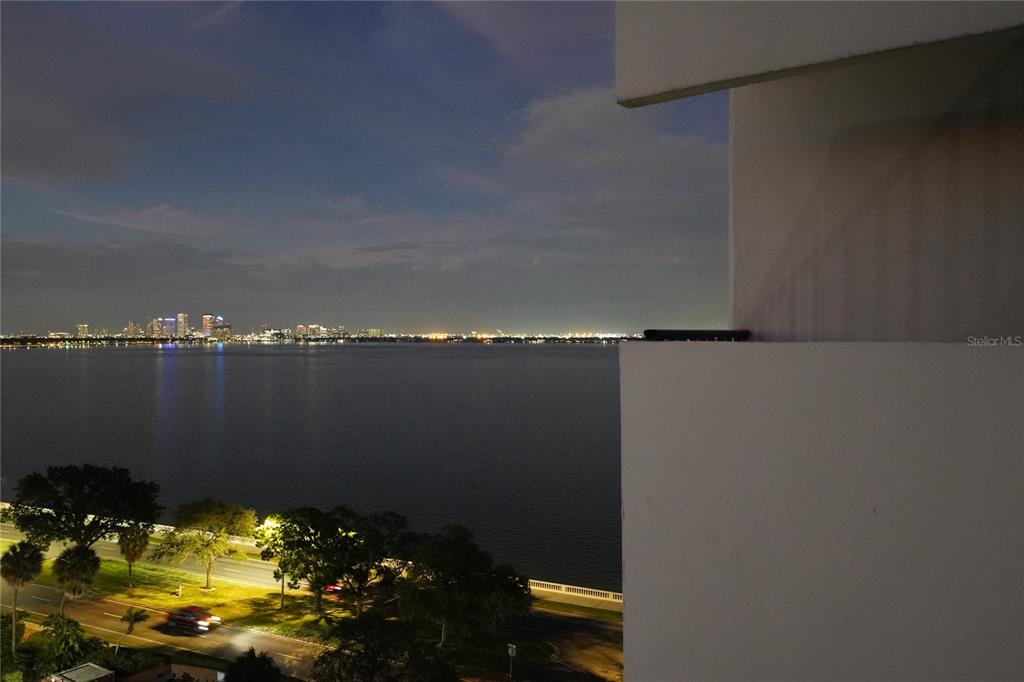 4141 BAYSHORE BOULEVARD UNIT 1106