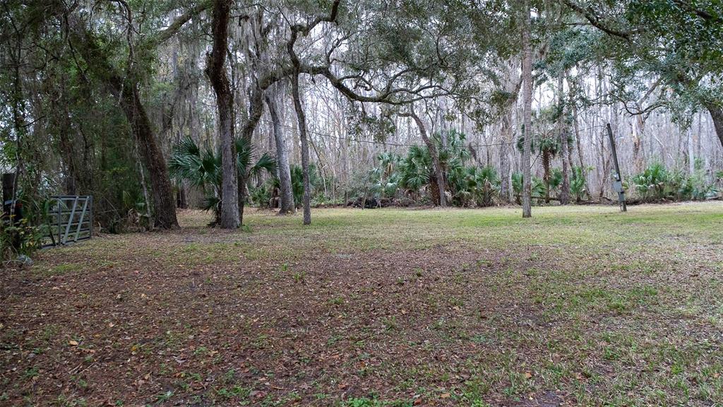 155 FRAN LANE, SATSUMA, FL — photo 2 of 30