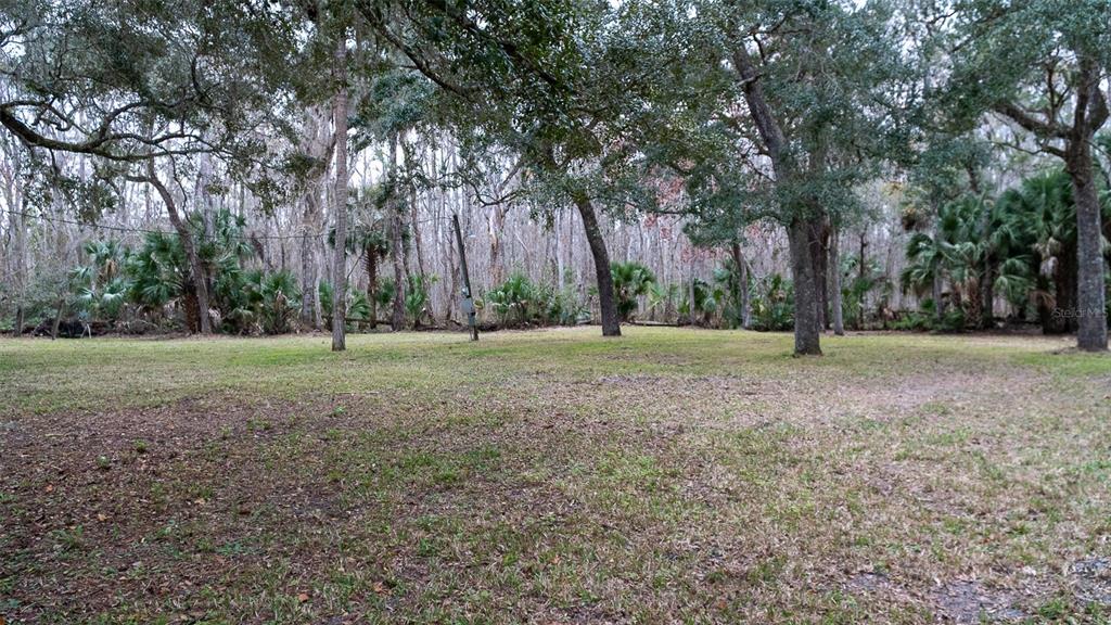 155 FRAN LANE, SATSUMA, FL — photo 3 of 30