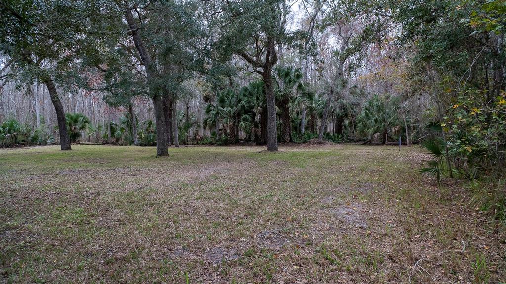 155 FRAN LANE, SATSUMA, FL — photo 4 of 30