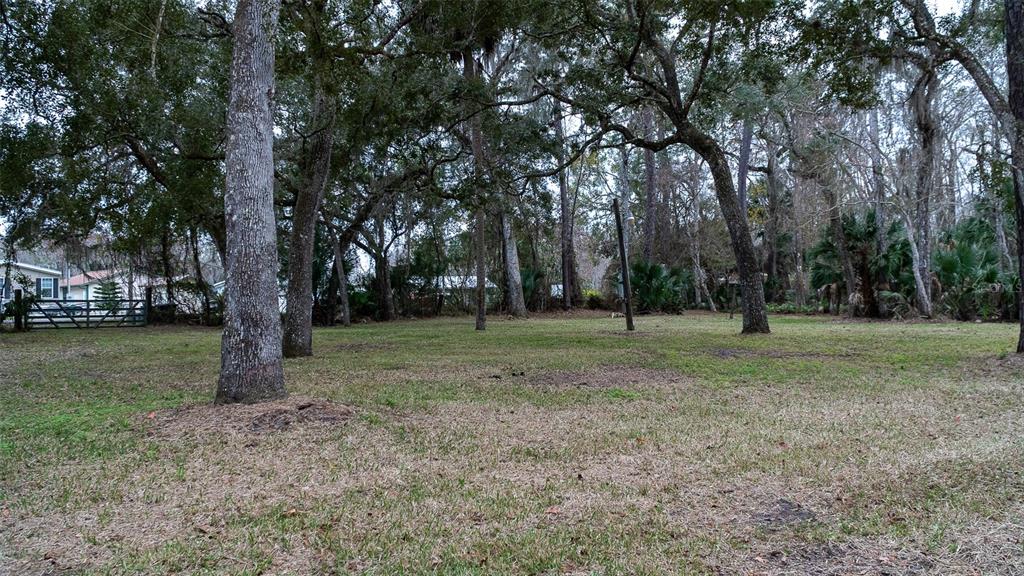 155 FRAN LANE, SATSUMA, FL — photo 5 of 30