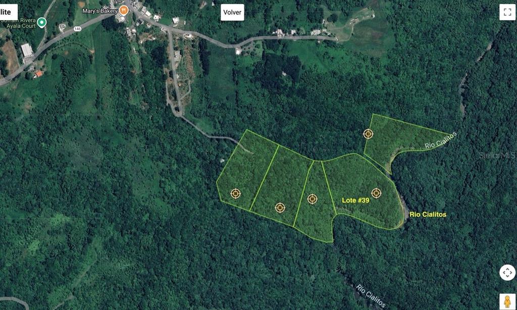 An aerial map view shows several adjacent land lots outlined in green near a river — SOLAR 39 BO FRONTON, CIALES, PR