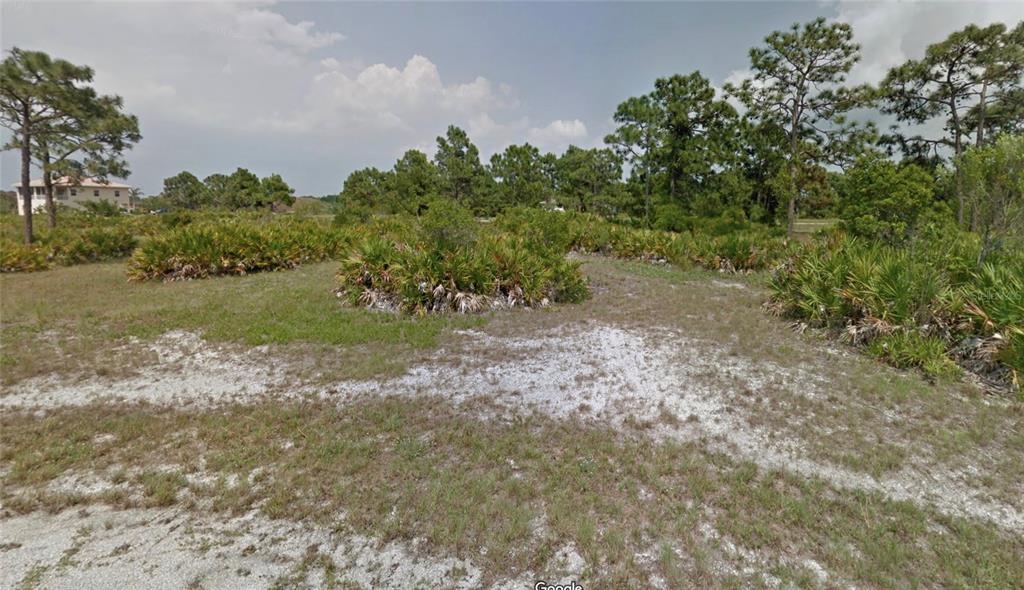 A vacant, sandy lot features scattered palmetto bushes and pine trees under a cloudy sky — 23 TARPON COURT, PLACIDA, FL