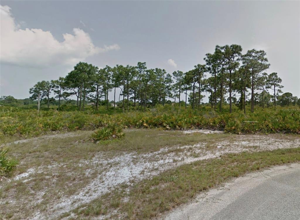 A vacant, grassy lot with sandy soil and scattered pine trees under a cloudy sky — 23 TARPON COURT, PLACIDA, FL
