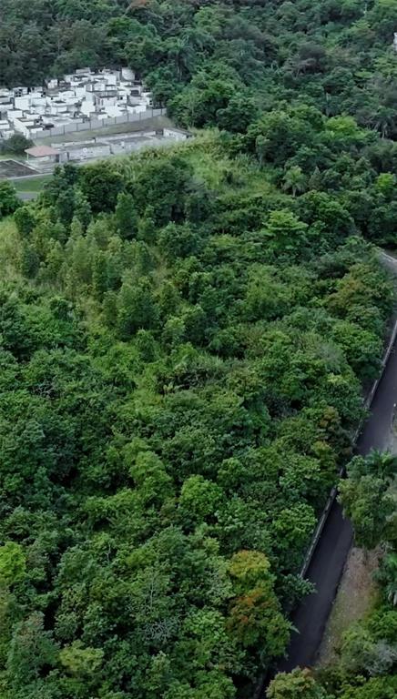 An aerial view shows a dense forest area adjacent to a paved road and white buildings — Carr 185 . UNIT F, CAROLINA, PR