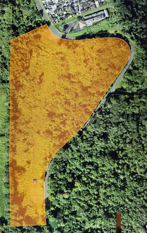 An aerial view shows a highlighted plot of land bordered by a road and forest — Carr 185 . UNIT F, CAROLINA, PR