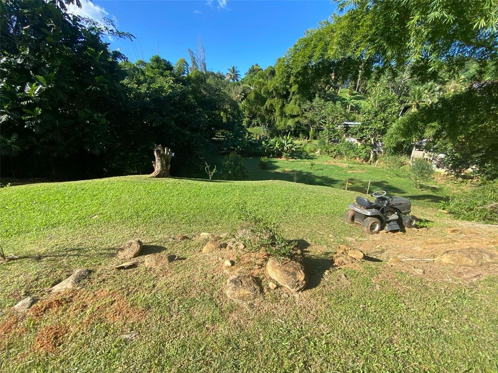 A riding lawn mower sits on a grassy, sloped yard surrounded by trees and vegetation — Carr. 108, Camino Adelina BO. RÍO CAÑAS, MAYAGUEZ, PR