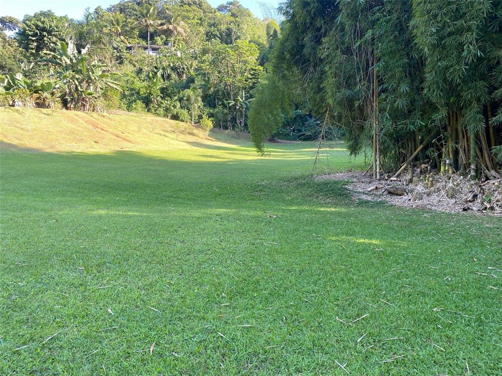 A large, mowed grassy lawn bordered by a dense bamboo grove and a wooded hillside — Carr. 108, Camino Adelina BO. RÍO CAÑAS, MAYAGUEZ, PR