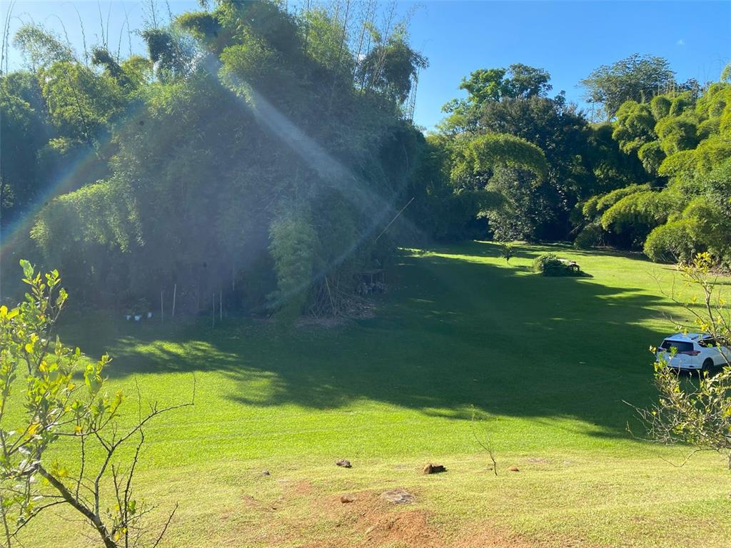 A large, grassy lawn is bordered by dense trees and bamboo under a clear sky — Carr. 108, Camino Adelina BO. RÍO CAÑAS, MAYAGUEZ, PR