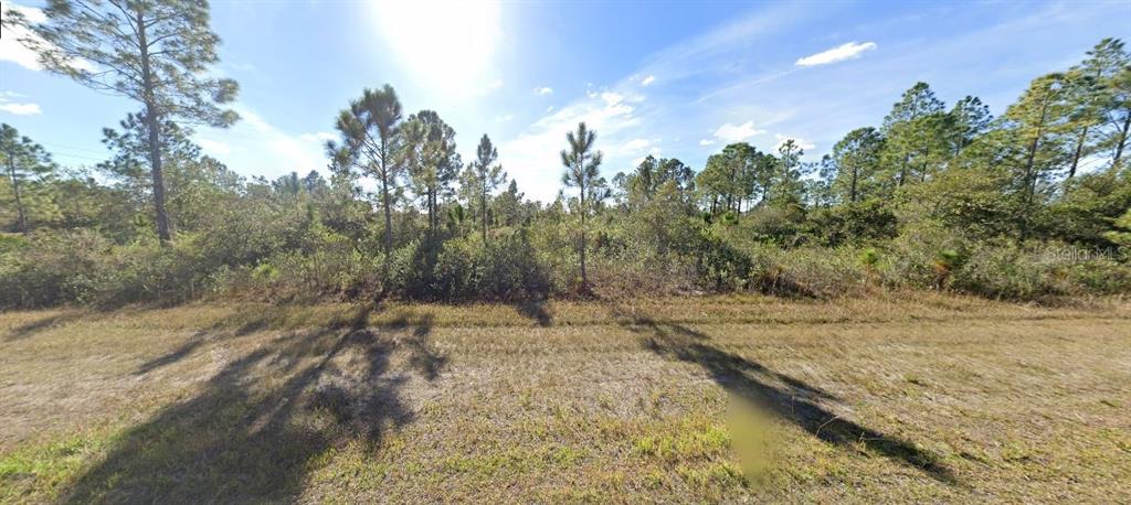 A vacant, wooded lot with pine trees and low-lying brush under a bright blue sky — 403 TROPICANA DRIVE, INDIAN LAKE ESTATES, FL