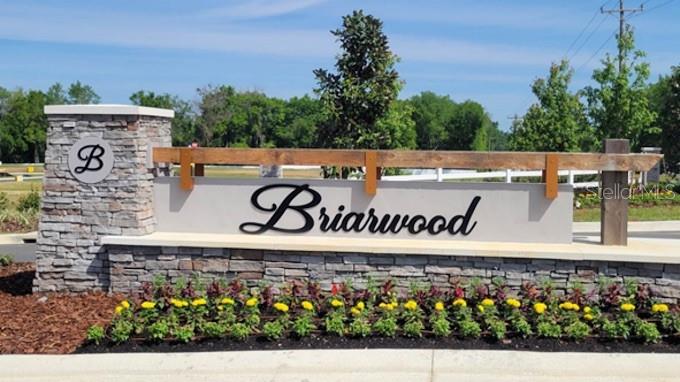 A stone and stucco entrance sign for the Briarwood community features a wooden beam accent — 17766 NW 168TH ROAD, ALACHUA, FL