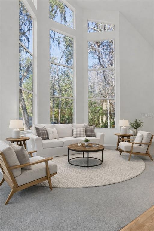 A living room features a white sofa, two armchairs, a round rug, and tall windows — 5248 NEFF LAKE ROAD, BROOKSVILLE, FL