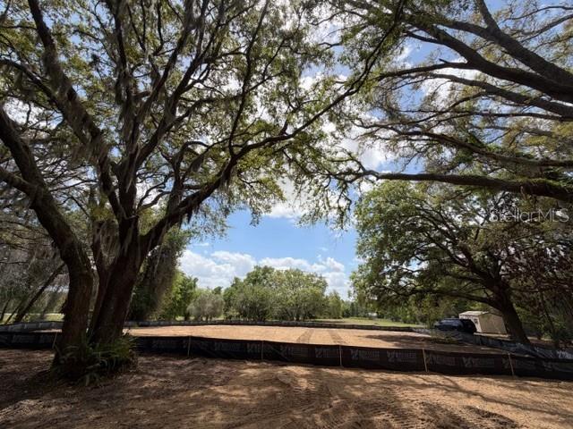 A cleared, fenced-in dirt lot is surrounded by large, mature oak trees under a blue sky — 17144 PHIL C PETERS ROAD, WINTER GARDEN, FL