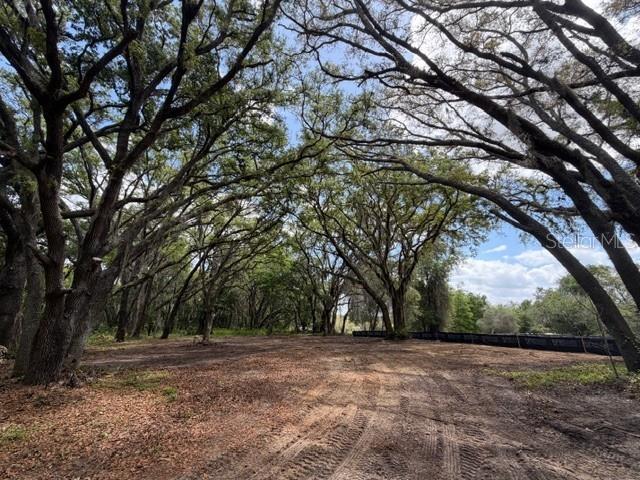 A cleared dirt lot is surrounded by large, mature oak trees under a blue sky — 17144 PHIL C PETERS ROAD, WINTER GARDEN, FL